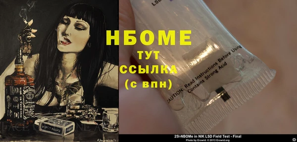 прущие грибы Армянск
