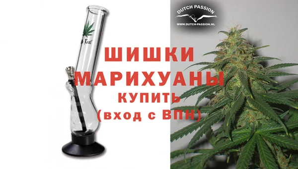 индика Грязи