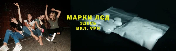 прущие грибы Армянск
