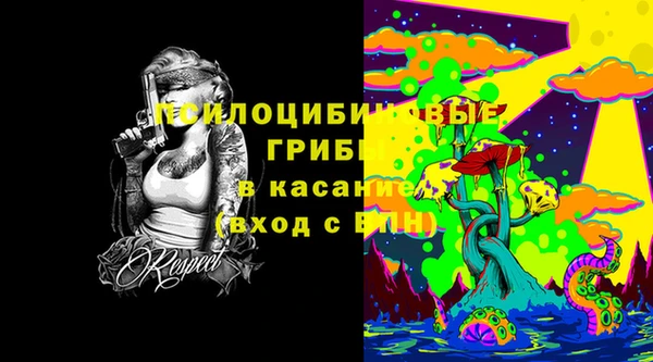 спайс Аркадак