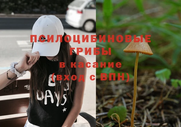 спайс Аркадак