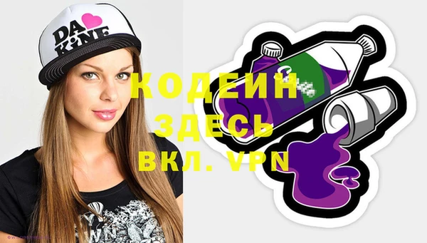 индика Грязи