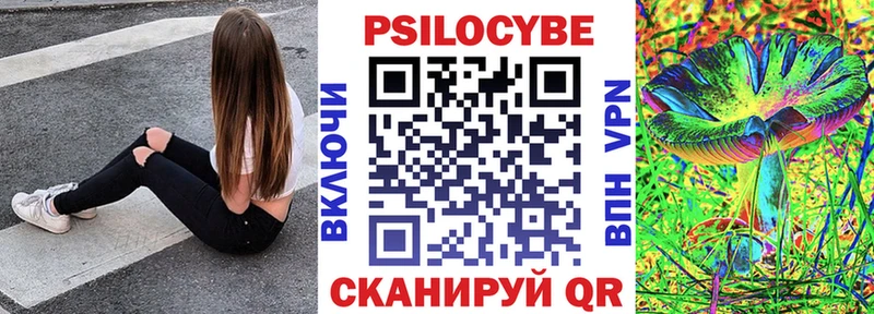 даркнет состав  Красный Кут  Псилоцибиновые грибы Psilocybine cubensis  сколько стоит 
