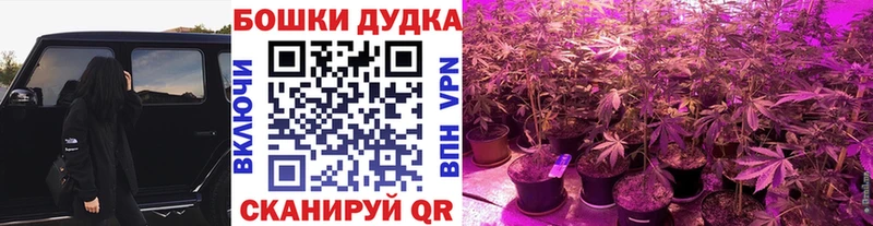Канабис гибрид  Красный Кут 
